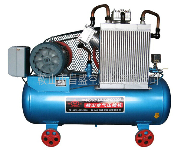 空壓機(jī)細(xì)分市場(chǎng)發(fā)展?fàn)顩r分析。